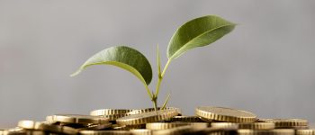 economie